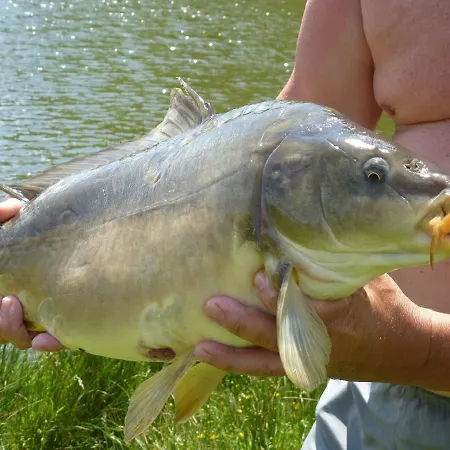 Holiday home Les Sources De L'etang Saint-Julien-Puy-Laveze